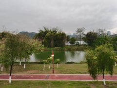 -鹤之洲湿地公园