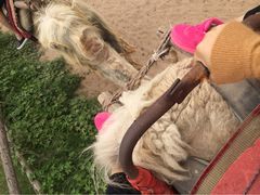 iphone_upload_pic-古柏渡飞黄旅游区