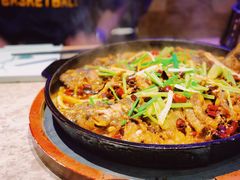 -老板恋上鱼(恒隆广场店)