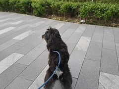 -春家·非遗手工小吃(徐汇万科广场店)