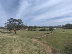 -盘龙城国家考古遗址公园