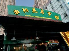 -曲阳花鸟市场(曲阳路店)