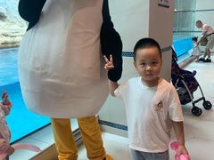 -帝企鹅自助餐厅•儿童岛•真企鹅(长隆企鹅酒店)