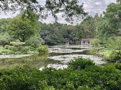 -杭州植物园