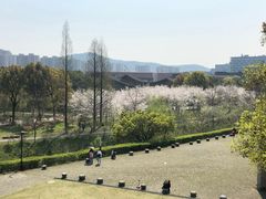 -中国美术学院象山校区-民艺博物馆