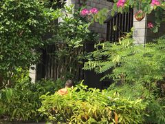 -三亚珠江南田温泉度假区