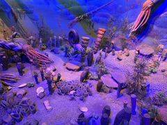 -浙江自然博物院(杭州馆)