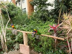 -南宫五洲植物乐园