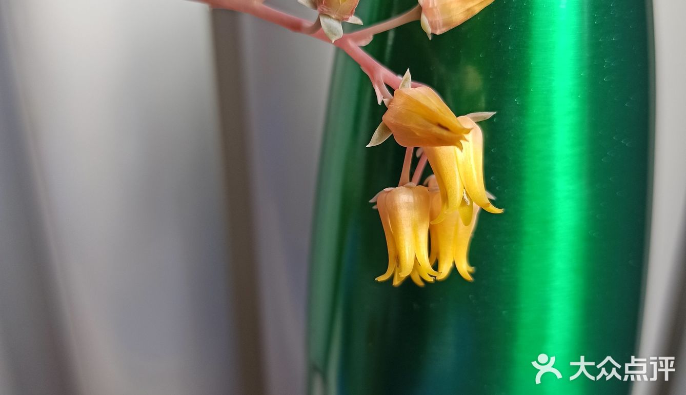 生活，有太多的愿与不愿，要与不要，爱与不爱