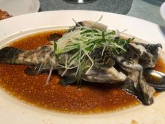-上海金桥红枫万豪酒店-万豪中餐厅