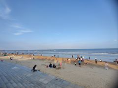-日照海滨国家森林公园