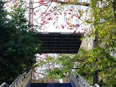 -深圳市宝安体育中心体育场