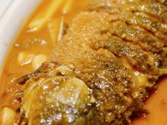 -阿五黄河大鲤鱼(海尚店)