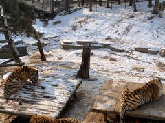 -大连森林动物园