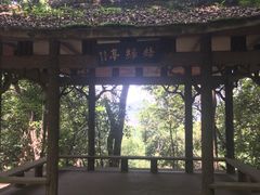-杭州黄龙洞