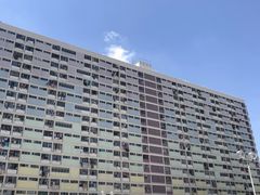 -彩虹村