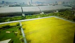 点击看大图 -英芬国际月子中心(岛屿度假月子·洲至奢选香岚店)