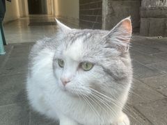 -马乐烤肉(回民街店)