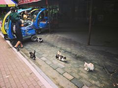 -廊坊市自然公园
