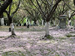 -苏州河梦清园环保主题公园