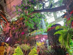 -正佳雨林生态植物园