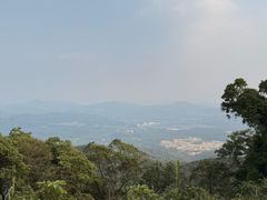 -广州市帽峰山景区