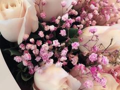 -Dark Horse·黑马蛋糕·低脂·低糖淡奶(金匙望湖大厦店)