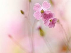 -南京金牛湖风景区