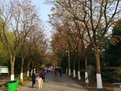 景点-白塘生态植物园