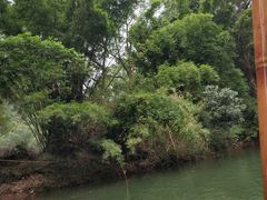 -九曲溪竹筏码头