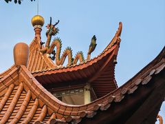 -深圳龙潭公园