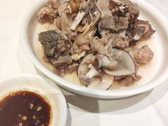 海底椰炖鳄鱼汤-粥旺庄(芳村店)