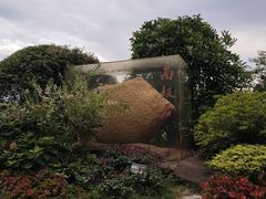 -上海吴淞炮台湾国家湿地公园