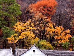 -北京上方山国家森林公园