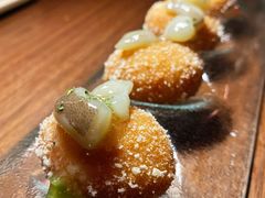烟熏缥缈章鱼-FOGO