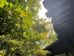 -杭州西子湖四季酒店-WL BISTRO西湖餐厅(灵隐路店)