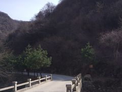 -少华山国家森林公园