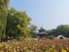 -莲池书院博物馆