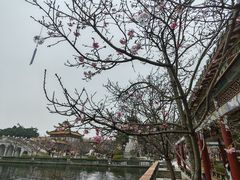 -宝墨园景区