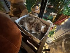 -咖法森林·咖啡  酒吧(天河店)