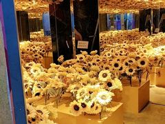 -梵高星空艺术馆(北京旗舰店)