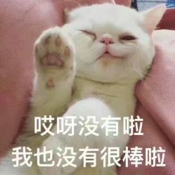 -归真美学颜究中心