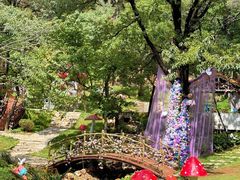 -沂蒙山旅游区云蒙景区(蒙山国家森林公园)