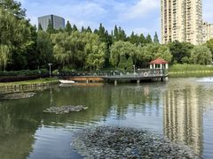 -新虹桥中心花园