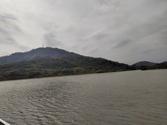 -风云岭森林公园