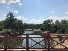 -大兴滨河森林公园