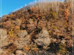 -玉渡山自然风景区