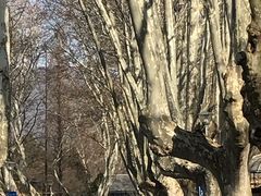 -T80科技文化国际社区-停车场