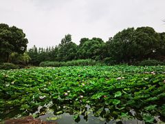 -无锡动物园·太湖欢乐园