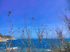 -三亚西岛海洋文化旅游区
